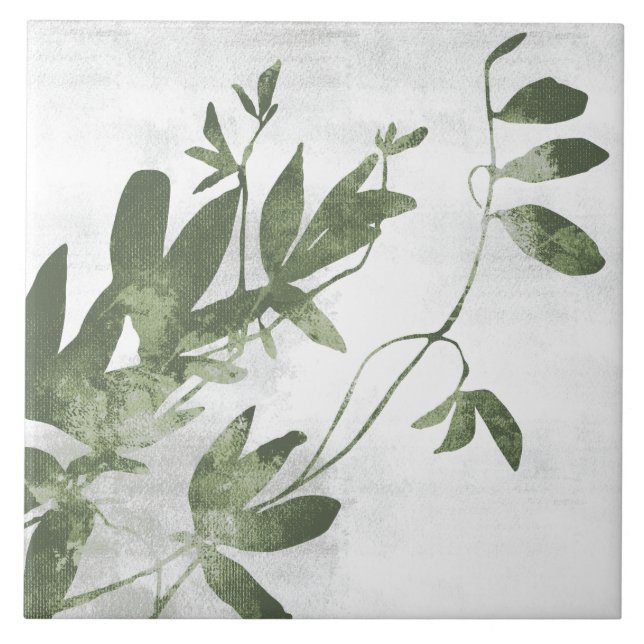 Sage Olive Green Painterly Botanical Art 09 (Frente)