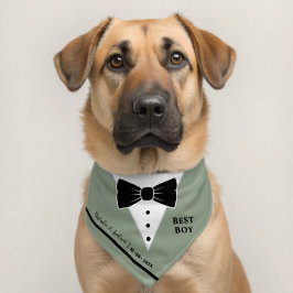Sage Verde Coleira de Tuxedo para Pets com Nomes e