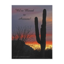 Saguaro ao Pôr do Sol, Anúncio de Novo Endereço
