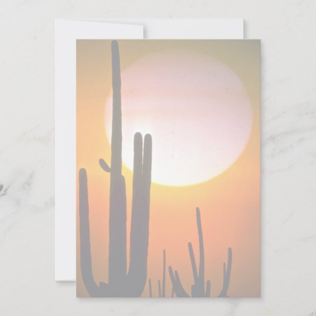 Saguaro cactus, Deserto de Sonoran, Deserto dos EU (Frente)