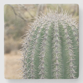 Saguaro Cactus na Arizona, porta copos de pedra qu