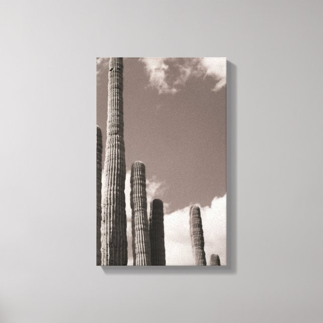 Saguaro Cactus Pipes Desertam Impressões de Fotogr (Frente)