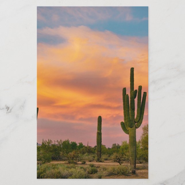 Saguaro Desert Life (Frente)