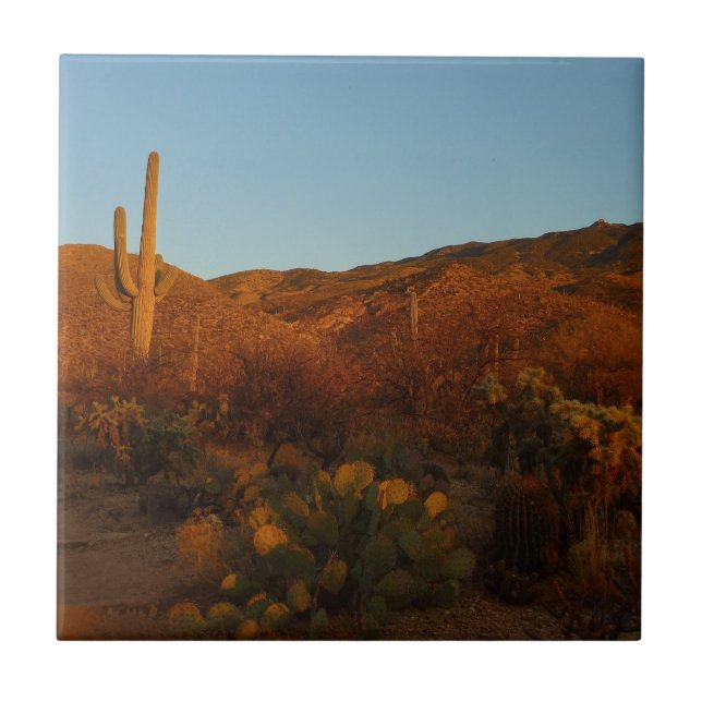 Saguaro Sunset I Arizona Desert Landscape (Frente)