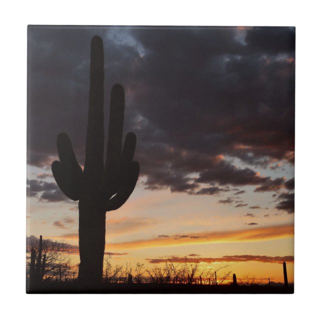 Saguaro Sunset III Arizona Desert Landscape (Frente)