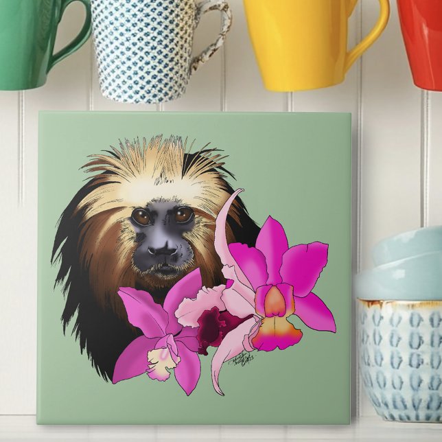 Sagui Floral de Cabeça Dourada (Criador carregado)