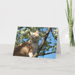 Sahara Cat Em Um Cartão De Saudação De Árvore
