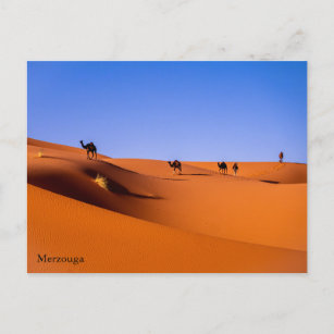 Sahara Merzouga no cartão postal da manhã inicial