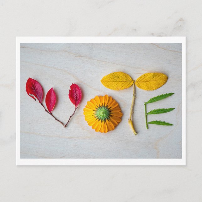 Saia do cartão postal VOTE (Frente)