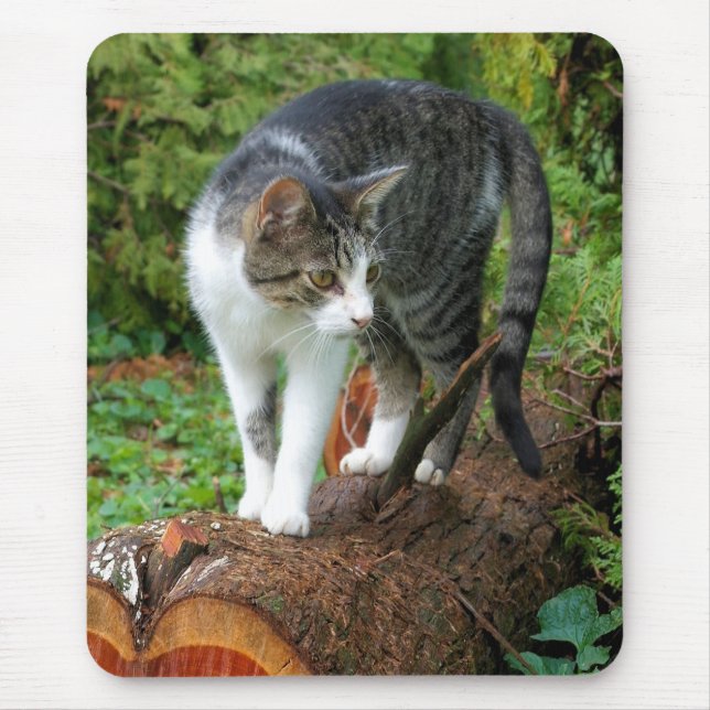 Saia em uma caminhada de gatos - Mousepad Gatinho (Frente)