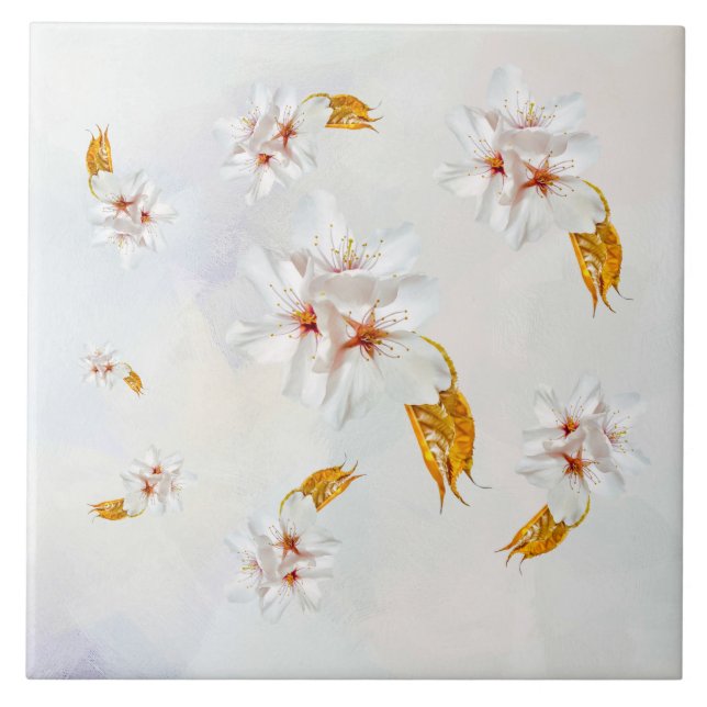 Sakura - cereja japonesa floresce (Frente)