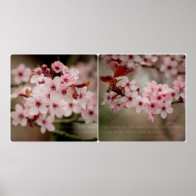 Sakura Diptych Poster (Frente)
