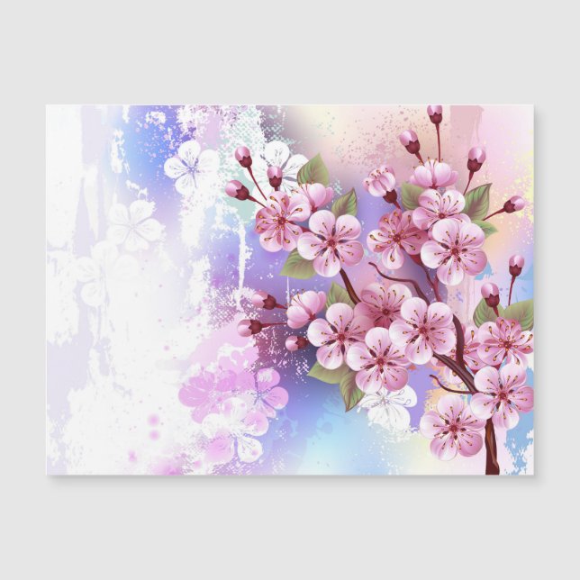 Sakura rosa no fundo da pintura (Frente)
