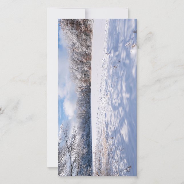 Salem Colinas Pond e Forest Winter Landscape (Frente)