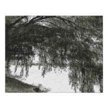 Salgueiro Weeping na água
