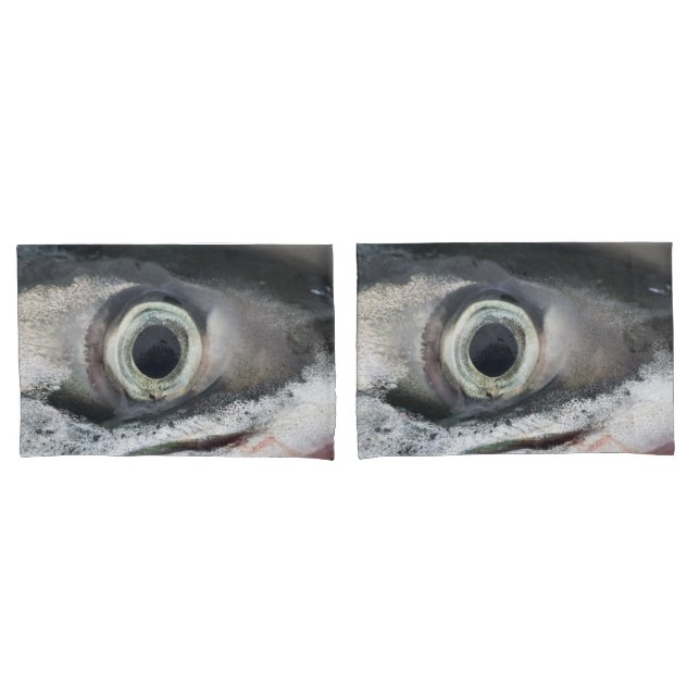 Salmão Eye (Frente - conjunto)