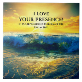 Salmo 16:11, Verso Bíblia, Belo Sol Oceânico