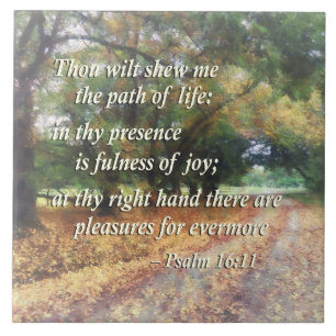 Salmo 16:11 Você vai me mostrar o caminho