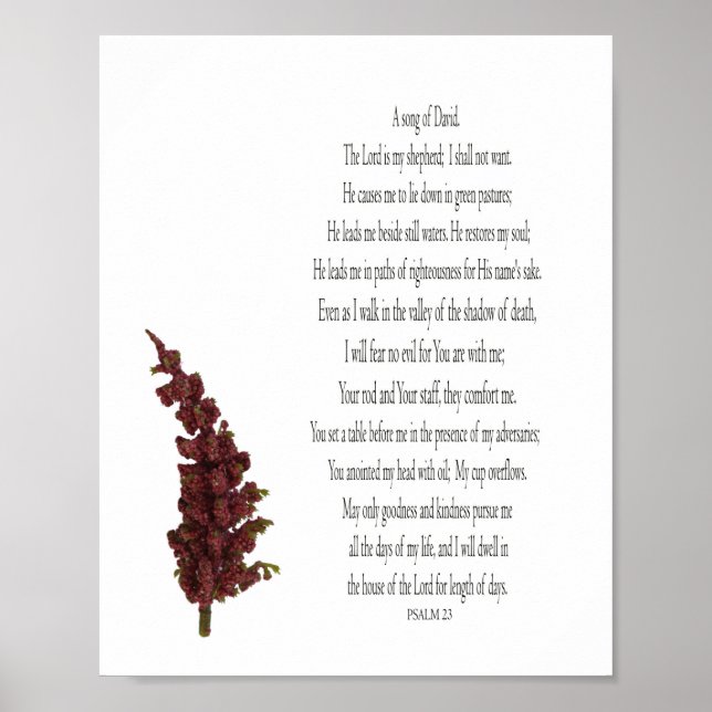 Salmo 23, Poster de Floral Planta Verde em Papel ( (Frente)