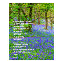 Salmo 91 sobre a floresta de bluebells, poster