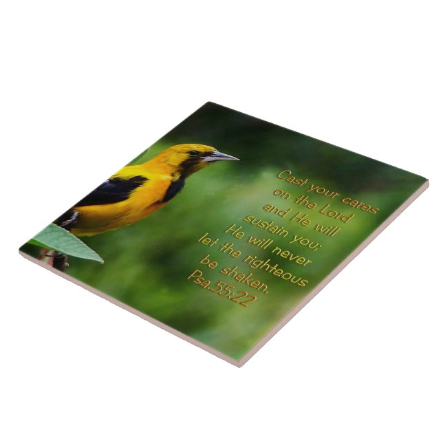 Salms 55:22 Inspiracional (Lateral)