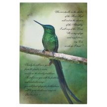 Salms 91:1-4 Inspiracional