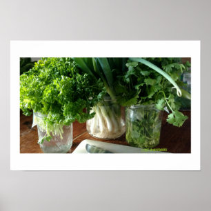 Salsa, Cilantro e Cebolas verdes Poster