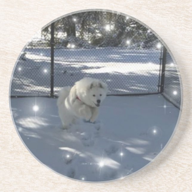 Saltando Samoiado na porta copos de neve (Frente)