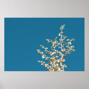 Saltbush Atriplex Leaf Nature Poster minimalista