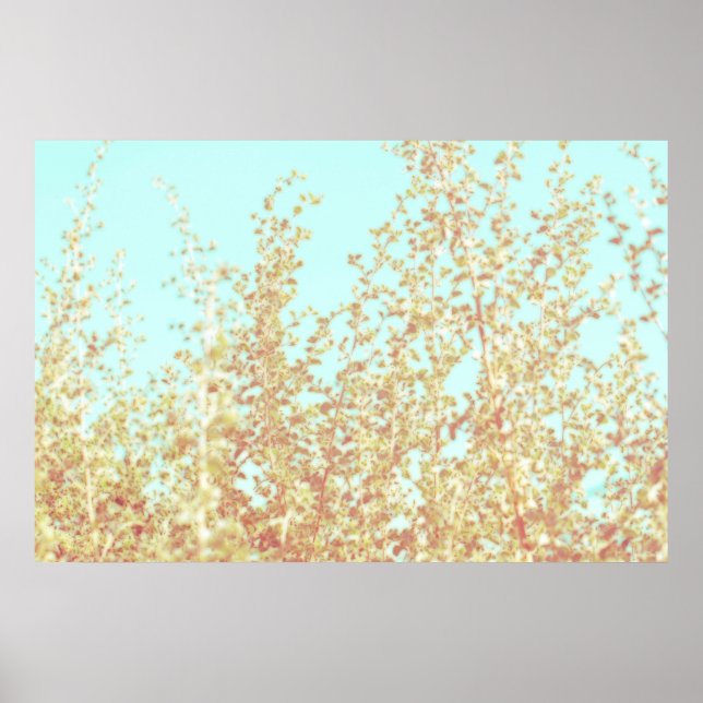 Saltbush Atriplex Leaf Nature Poster minimalista (Frente)