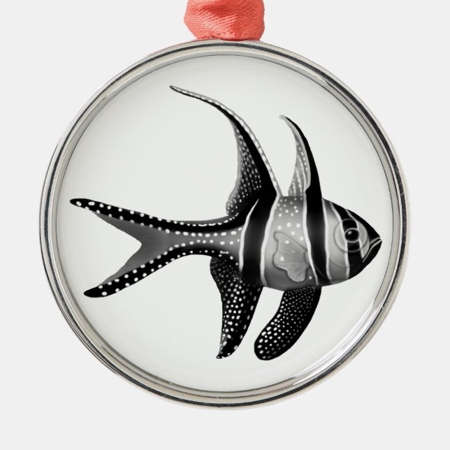 Saltwater Banggai - Ornamento de Cantarilhos (Frente)