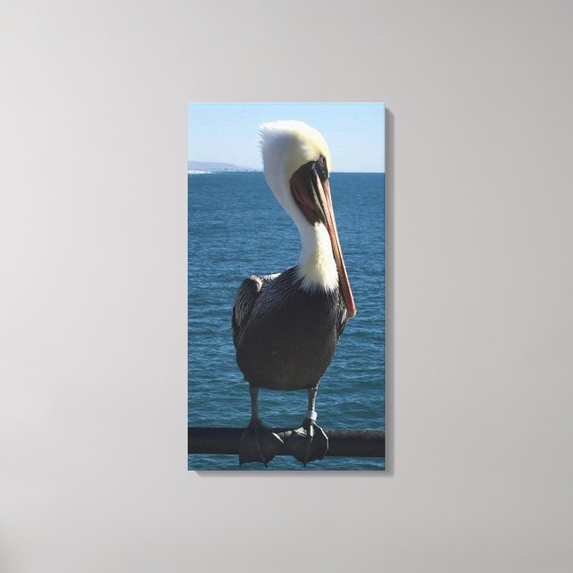 Salty Sea Pelican Canvas (Frente)