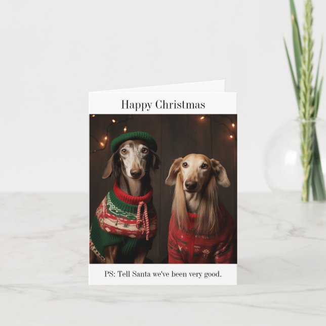 Saluki Dogs Feliz Cartão de Natal (Frente)