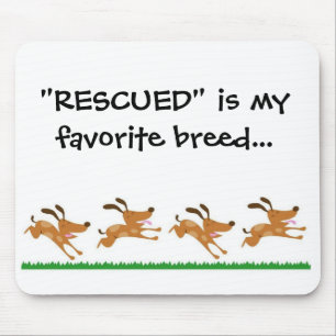 "SALVADO" é meu mousepad favorito da raça…