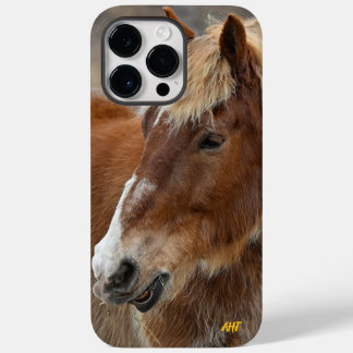 Salvamento em cavalos AHT