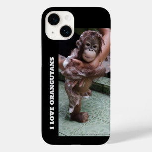 Salvamento Órfão Orangutan