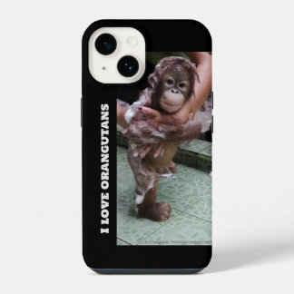 Salvamento Órfão Orangutan