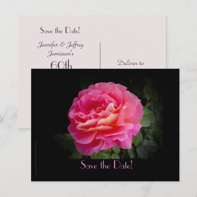 Salvar a Data Cartão Postal Rosa Festa de 60º Aniv (Frente/Verso)