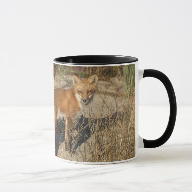 "Salvar caneca da raposa do nosso planeta" (Direita)