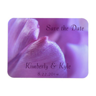 Salvar da pétala roxa da tulipa da data o ímã