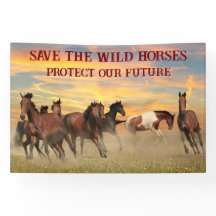 Salvar os cavalos selvagens