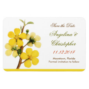 salvar os ímãs elegantes brancos da data