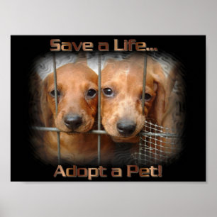 Salvar uma vida adotam um poster do animal de