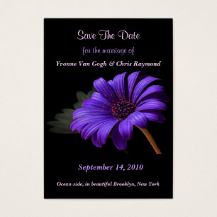 Salve A Data Bright Purple Daisy III