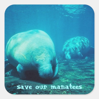 Salve nossos adesivos Manateus