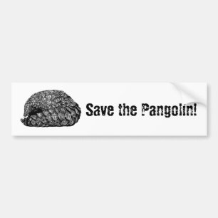 Salve o adesivo do para-choques Pangolin