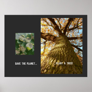 Salve O Poster Do Planeta