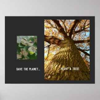 Salve O Poster Do Planeta