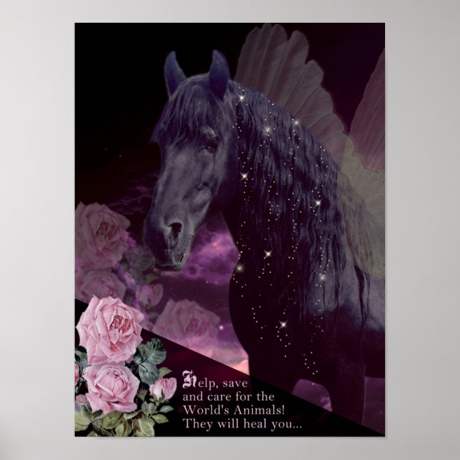 Salve Os Animais - Poster (Frente)