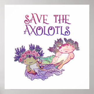 Salve os Axolotls,Axolotl,Salamander Poster